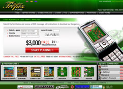 Online Casino Portable